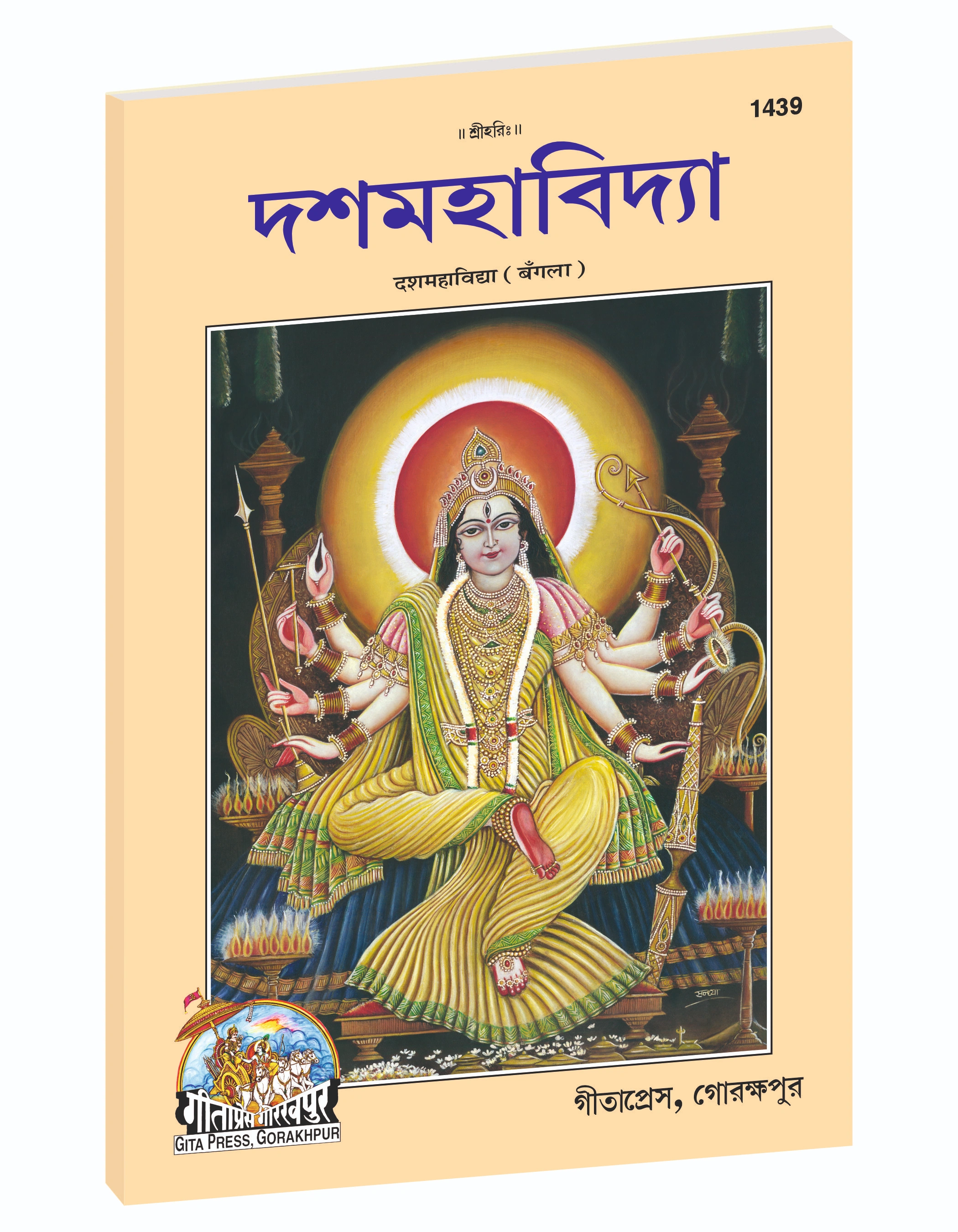 Das Mahavidya – Ten Divine Goddesses main
